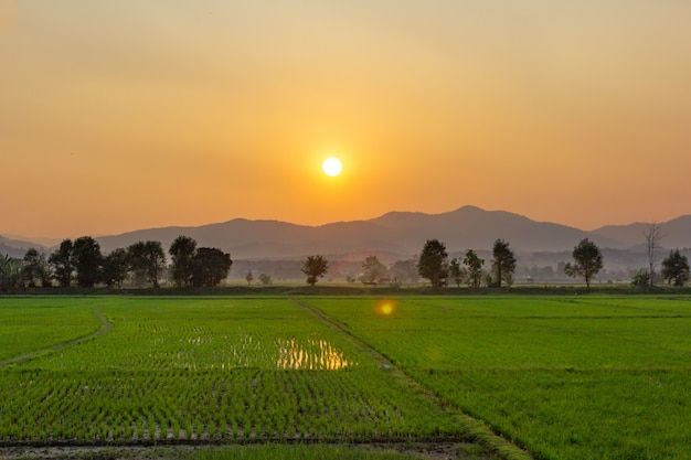 Sunset